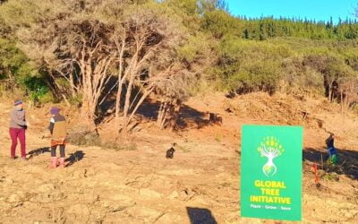 La communauté néo-zélandaise profite d’une journée de plantation d’arbres au Wish-Fulfilling Land (au pays des rêves) !