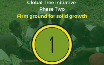 1 de noviembre: Global Tree Initiative, segunda fase: terreno firme para un crecimiento sólido