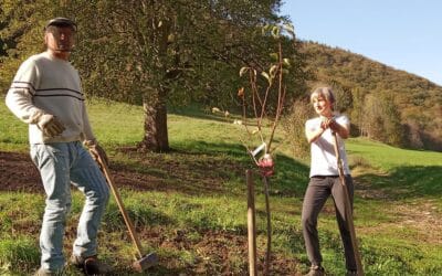 Nine trees planted and dedicated in Slovenia!