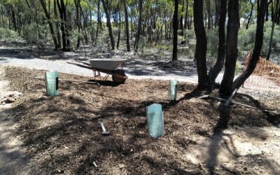 More than 150 trees and shrubs planted and dedicated at Atisha Centre, Australia