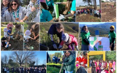 Over 6,400 trees dedicated to World Youth Day Lisbon 2023