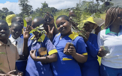 L’école primaire de Mutanda plante des arbres avec un dévouement particulier
