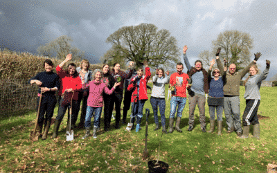 Three hundred trees planted and dedicated in the UK